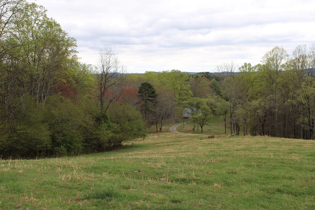 On top of a hill looking down toward a homestead and seeing all the trees in a shade of spring green.