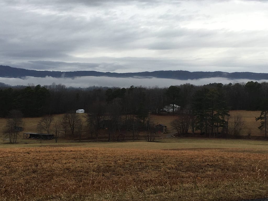 View in the Blue Ridge Mountains of fog settling in a little rural valley with a couple of farmhouses.