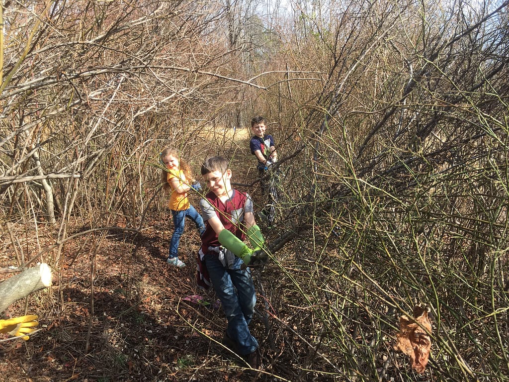 3 kids pulling on blackberry vines stuck in a tree.
