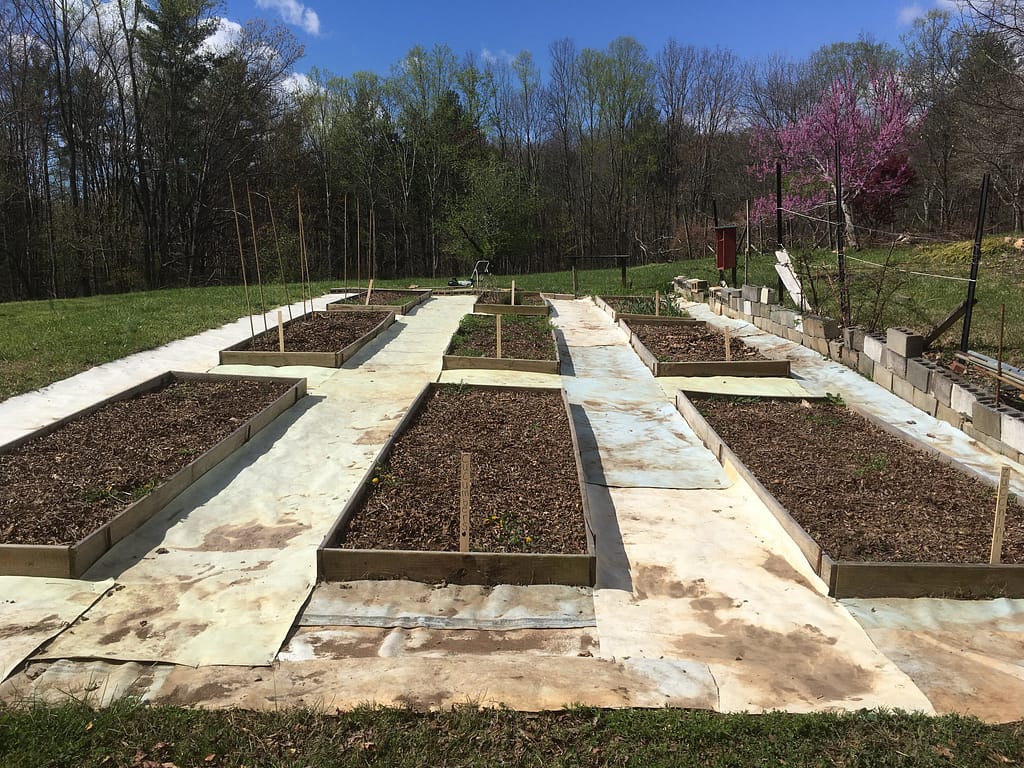 how to plant a garden. 9 raised garden beds ready for planting.