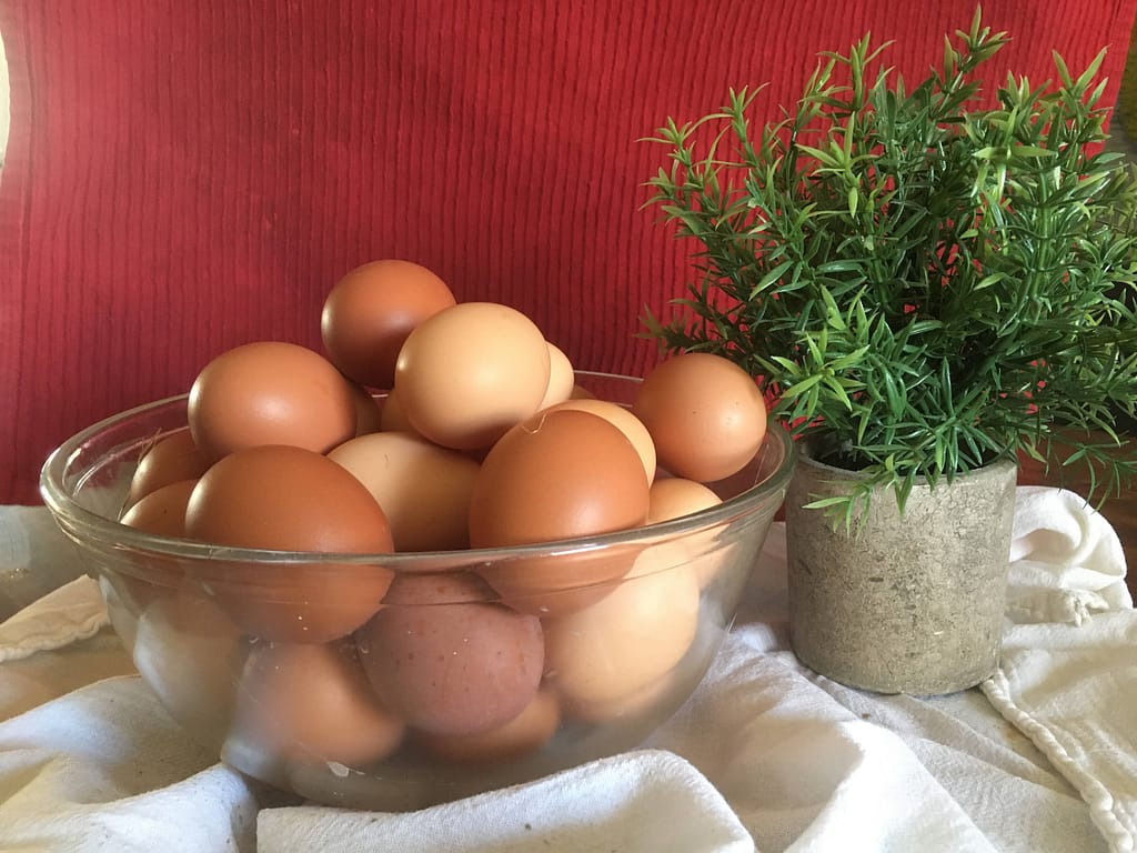 Glass bowl of farm fresh eggs next to a succulent.