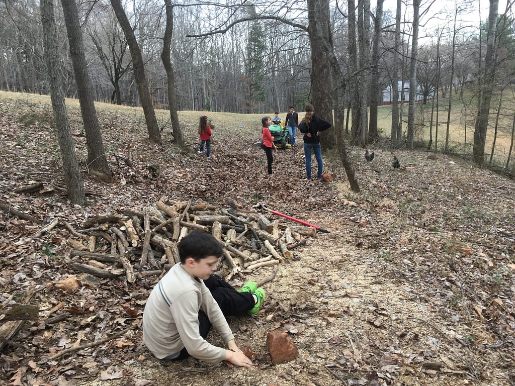 pile of cut fire wood on a trail.