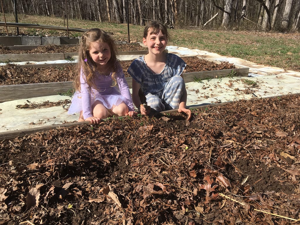 two girls planting strawberries