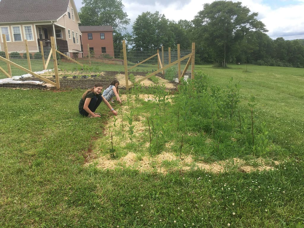 2 pre teens weeding a garden.