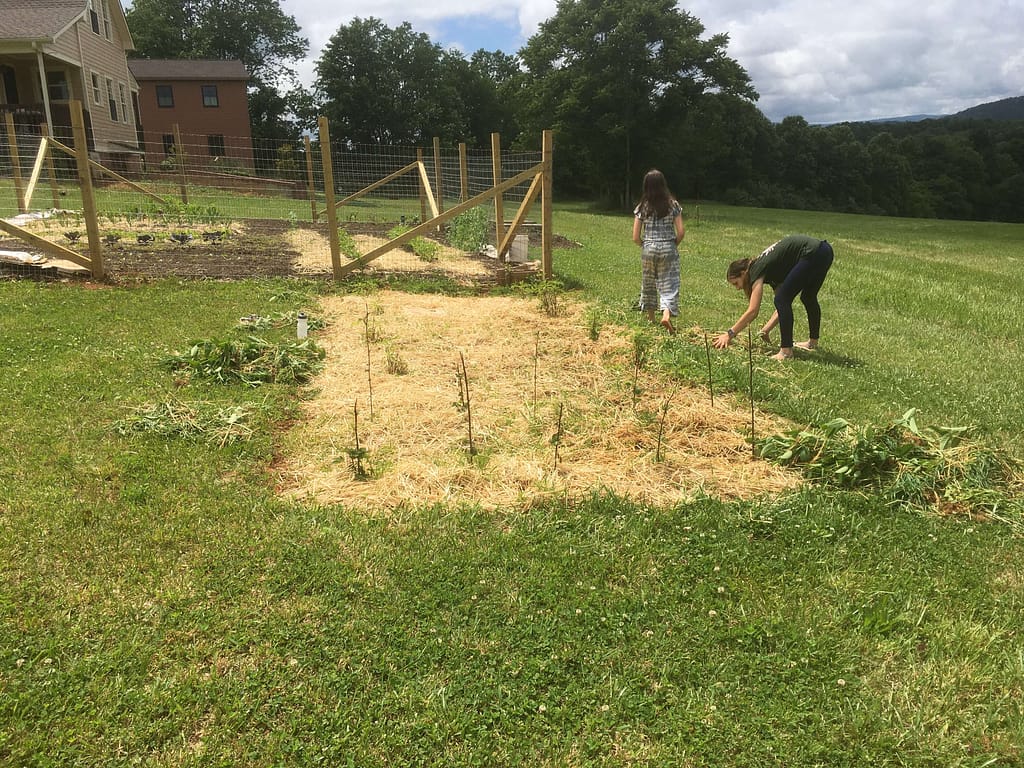 2 pre teens all done weeding a garden