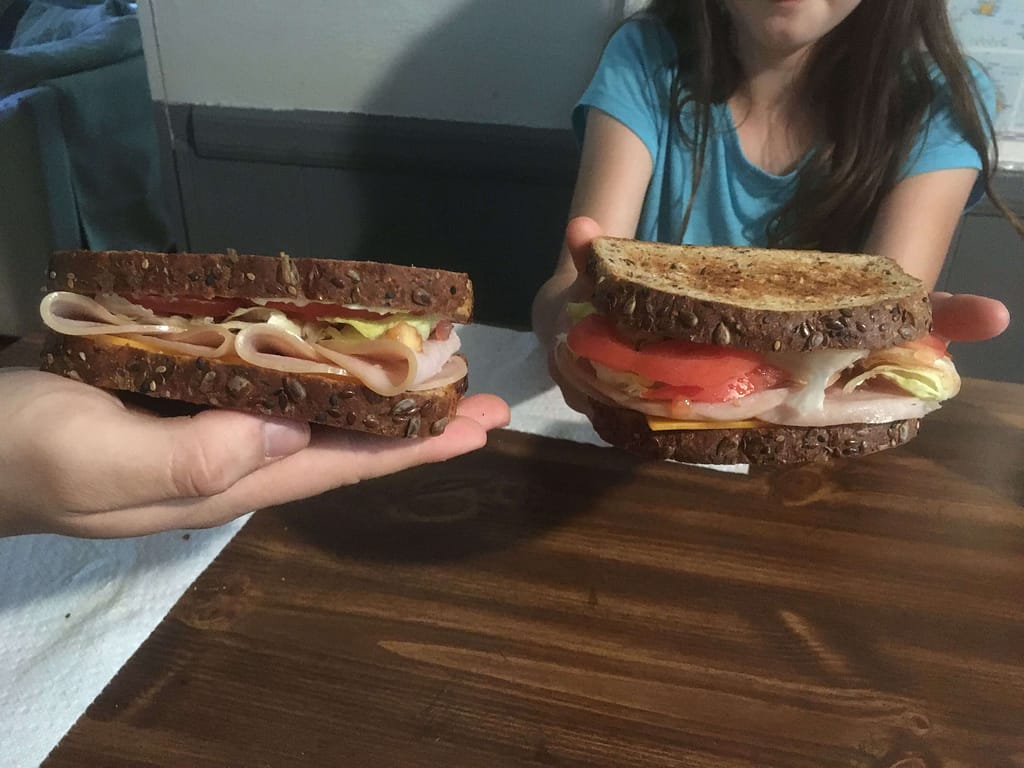 2 toasted meat and cheese sandwiches