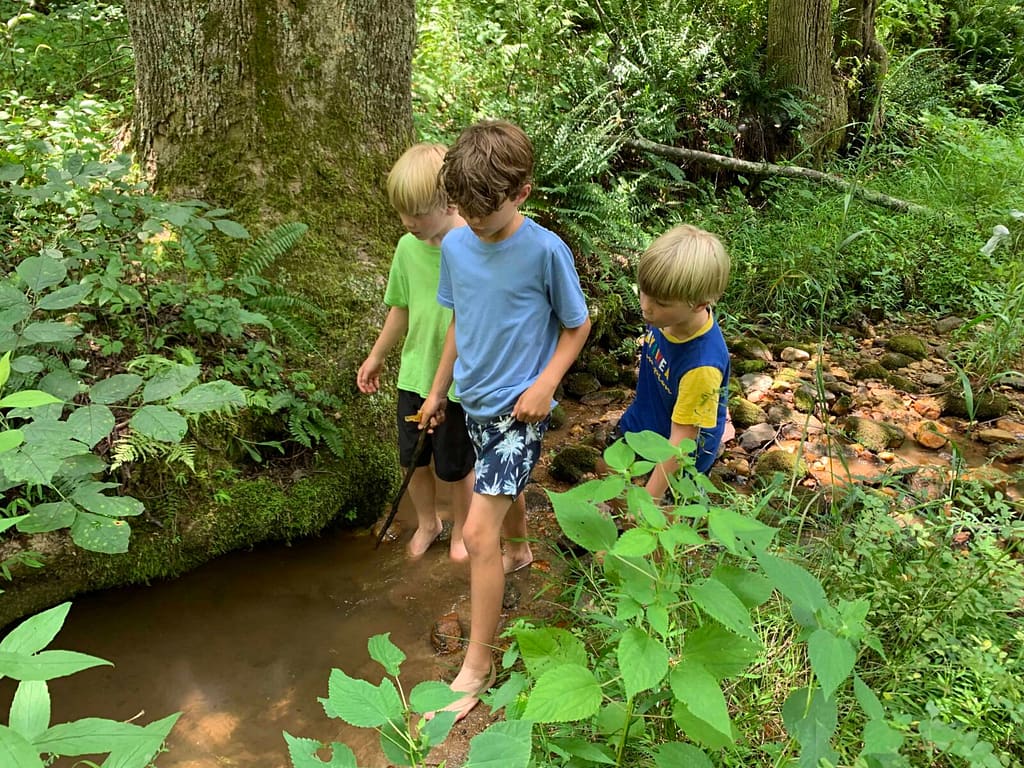 kids hiking through a small stream