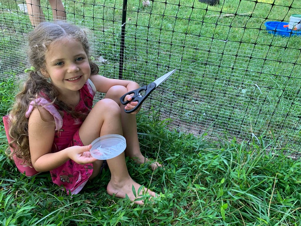 little girl helping to reinforce a chicken fence