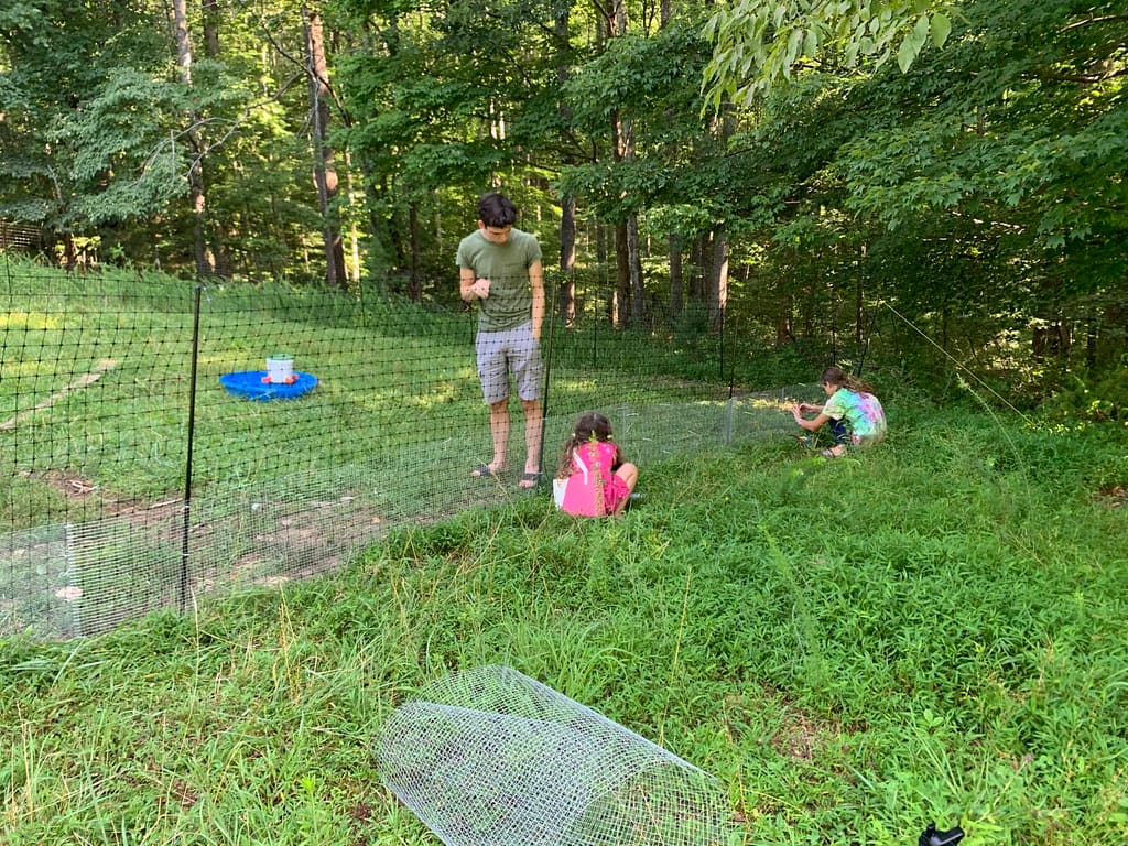 kids fixing a chicken fence