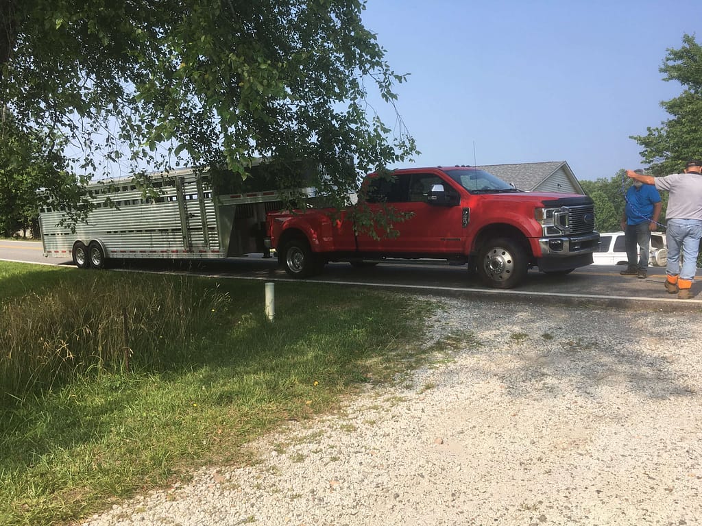 truck and horse trailer at the end of a driveway