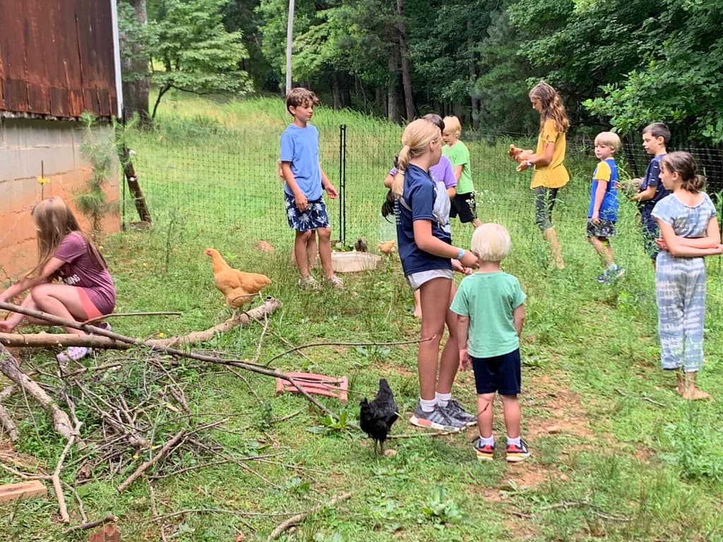 kids playing in the chicken yard