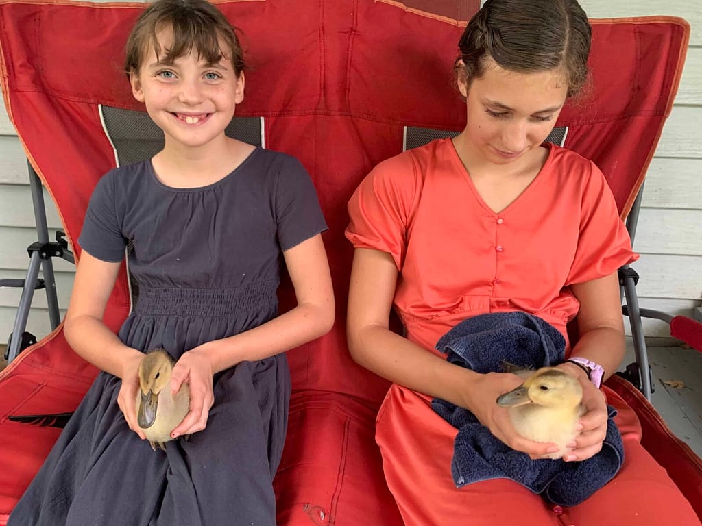 two sisters sitting on the porch holding chicks