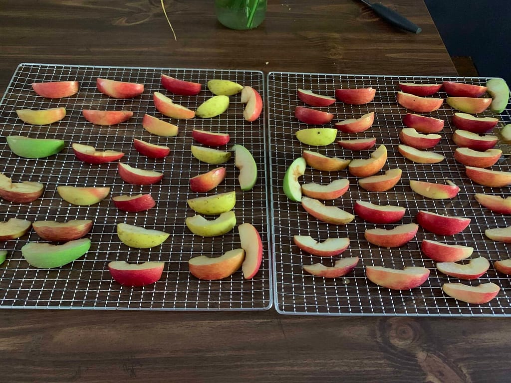 two trays of apple slices ready to be dried