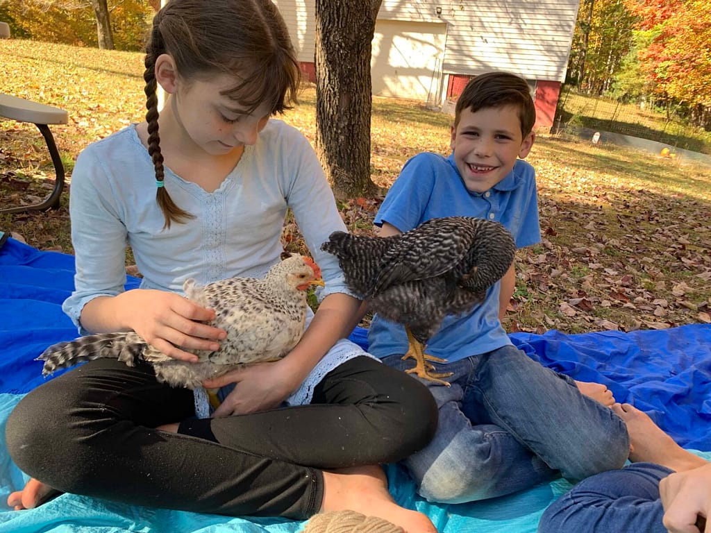 brother and sister holding small chickens