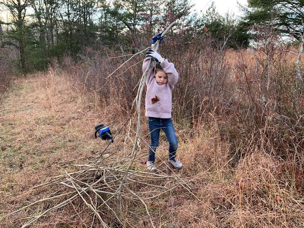 6 year old hauling branches in winter