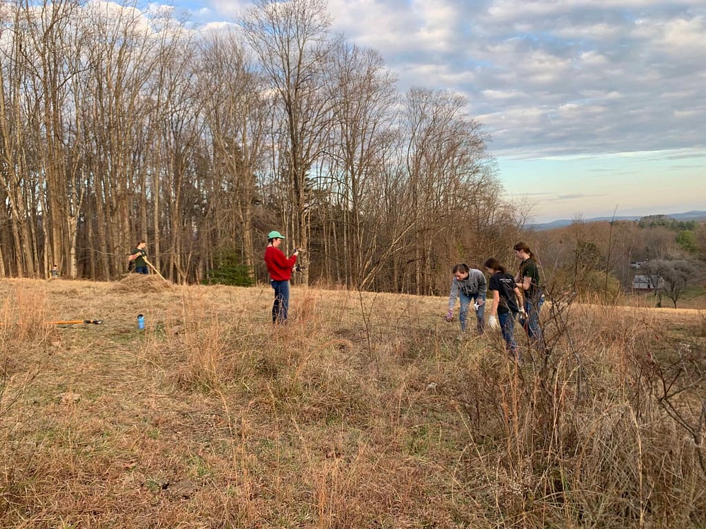 kids in a brown field, hauling branches in the winter