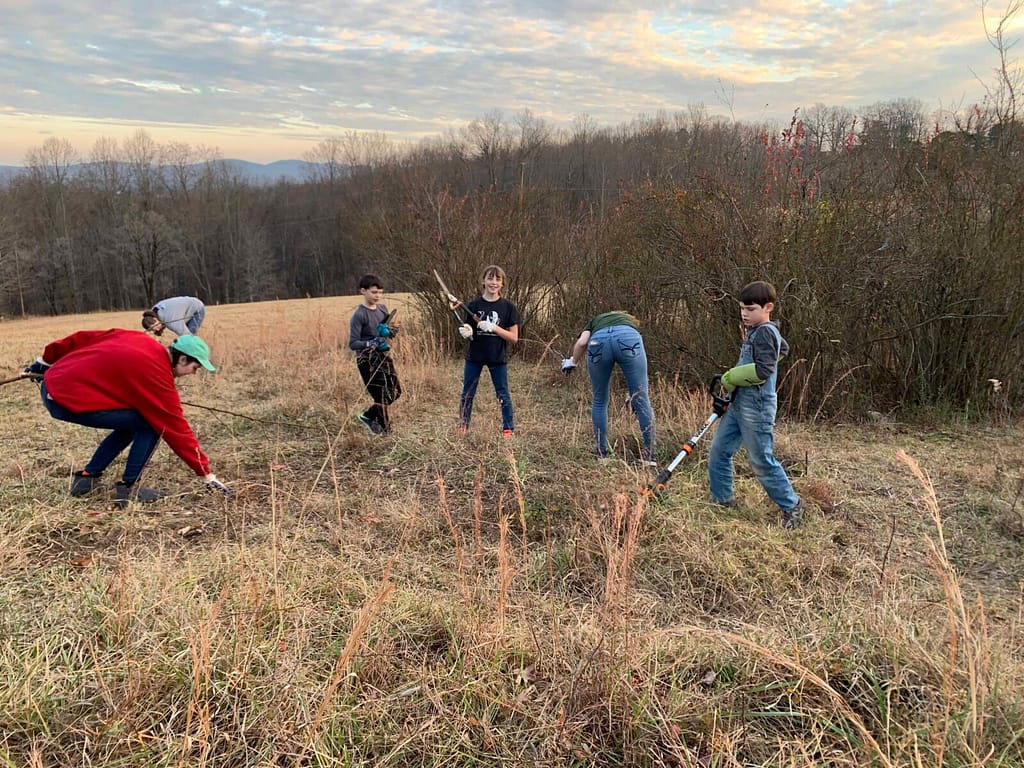 kids in a brown field, raking hay and branches