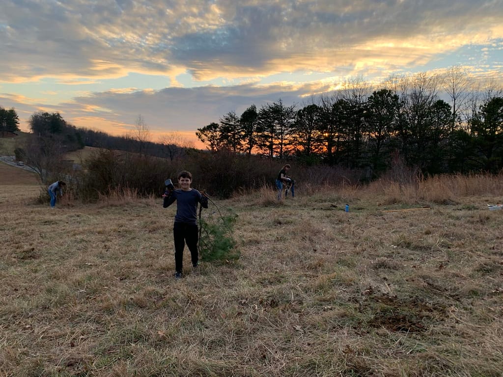 10 year old hauling branches at sunset