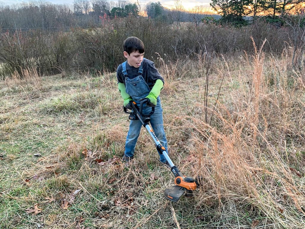 8 year old weed eating tall dead grass