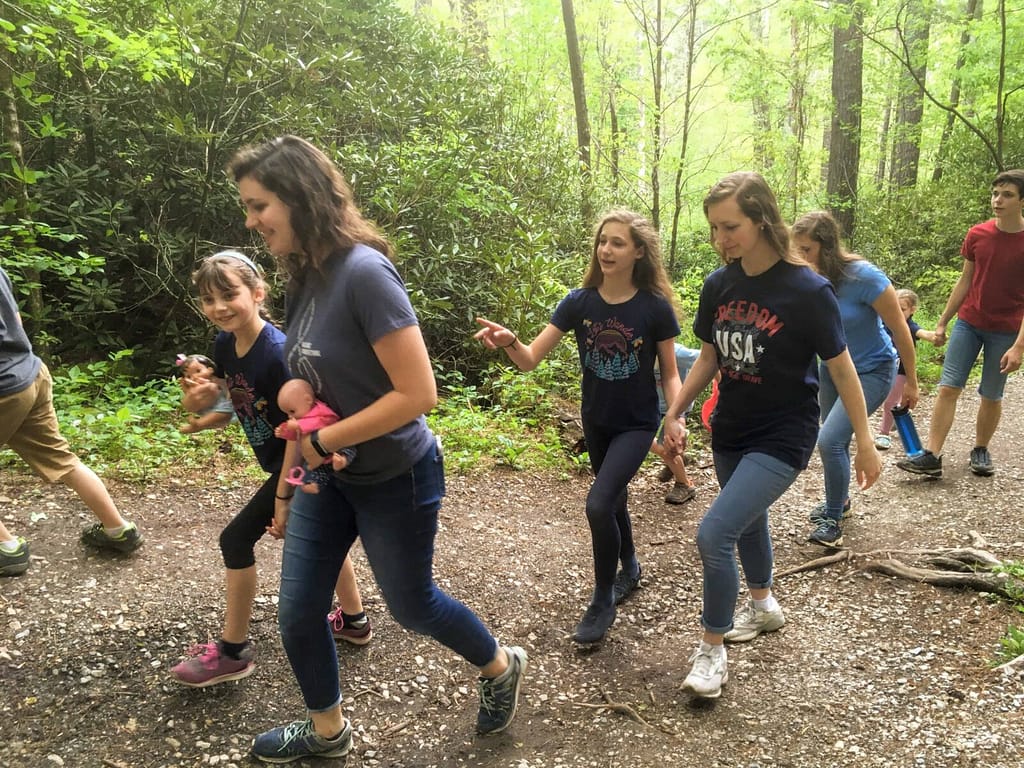 10 siblings hiking together at Linville Falls