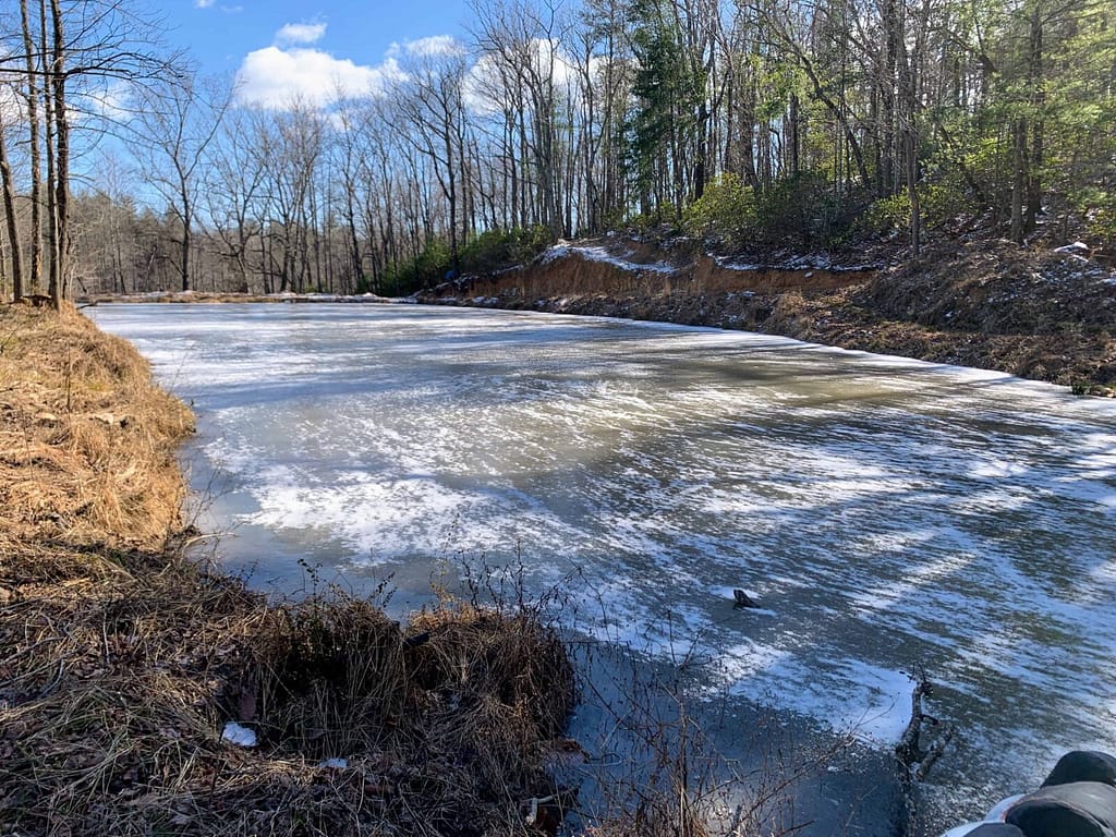 frozen pond