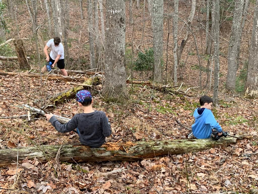 3 boys sawing logs in the woods