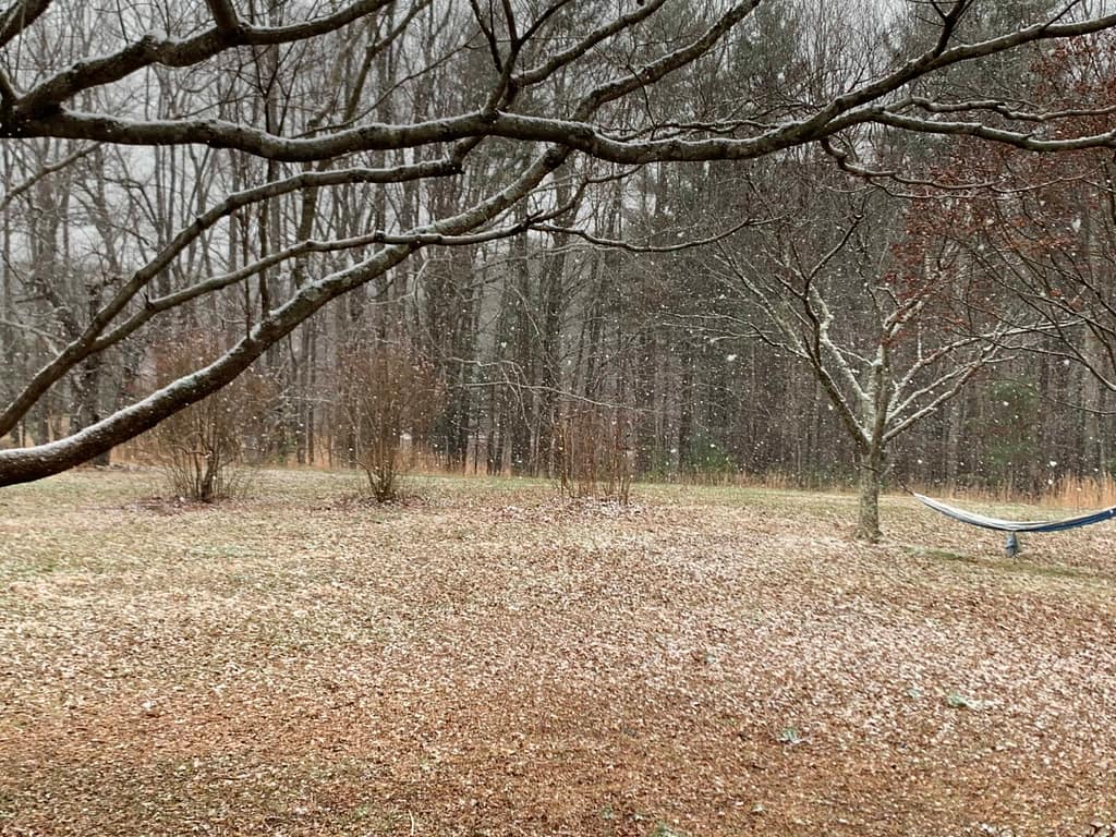 snow coming down in the country yard but not covering the ground