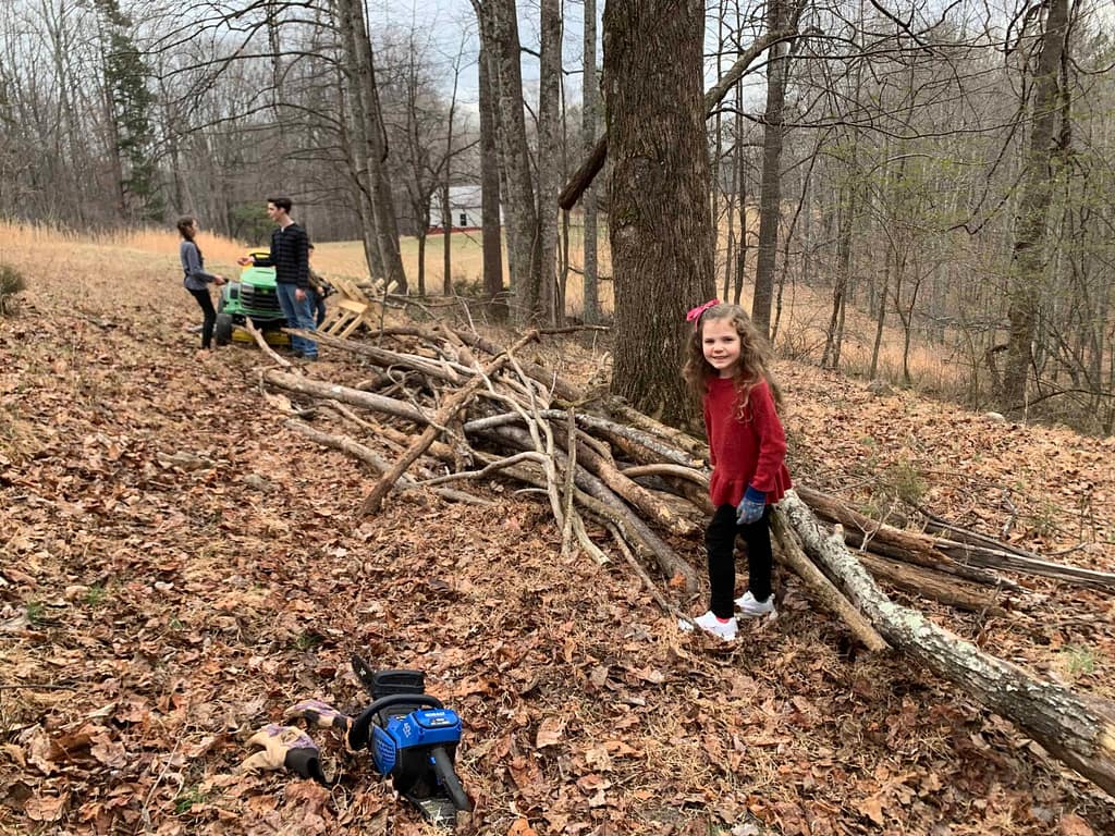kids hauling long branches to be cut in the woods