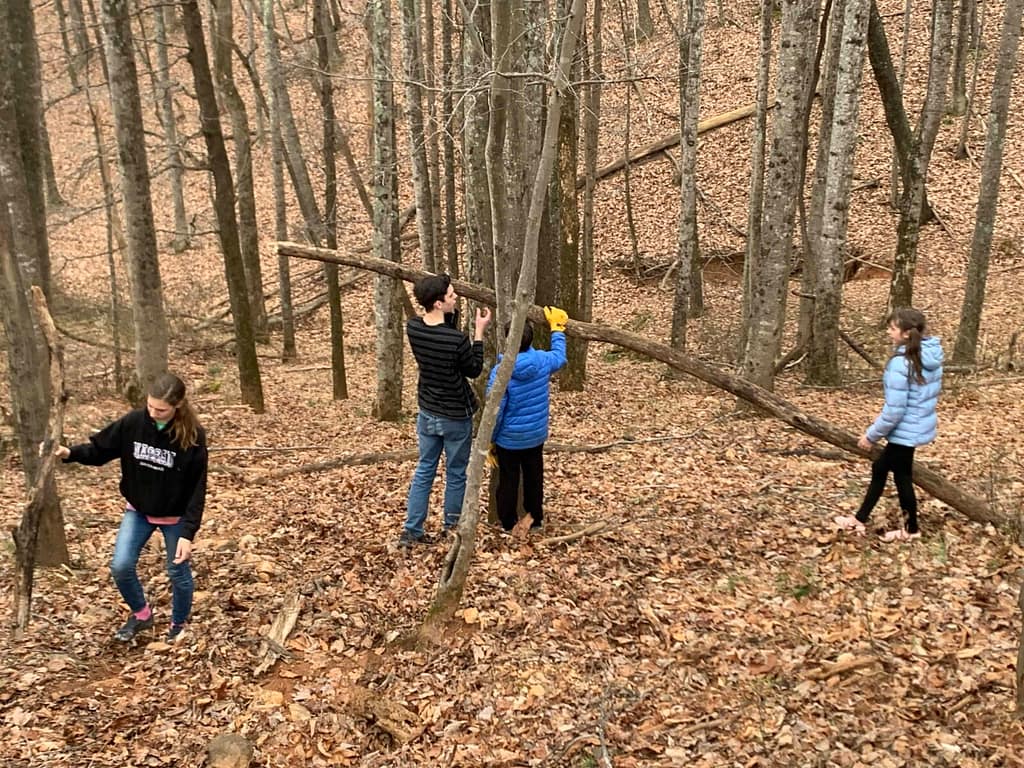 kids hauling long branches in the woods to be cut