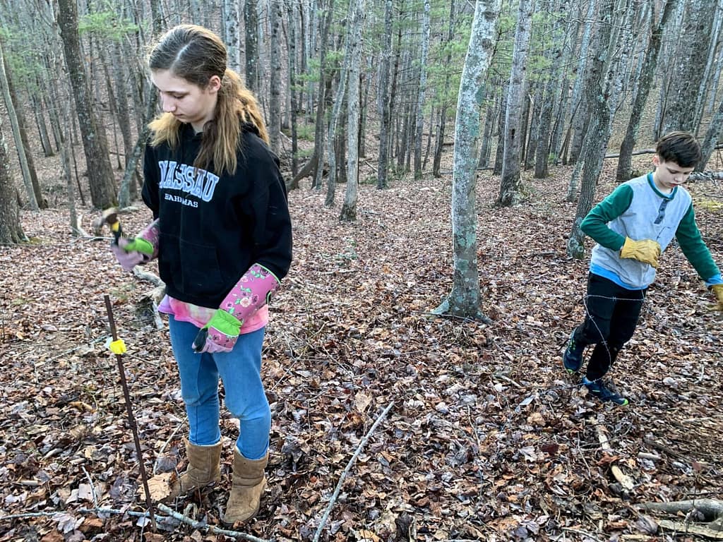 kids putting up an electric cattle fence