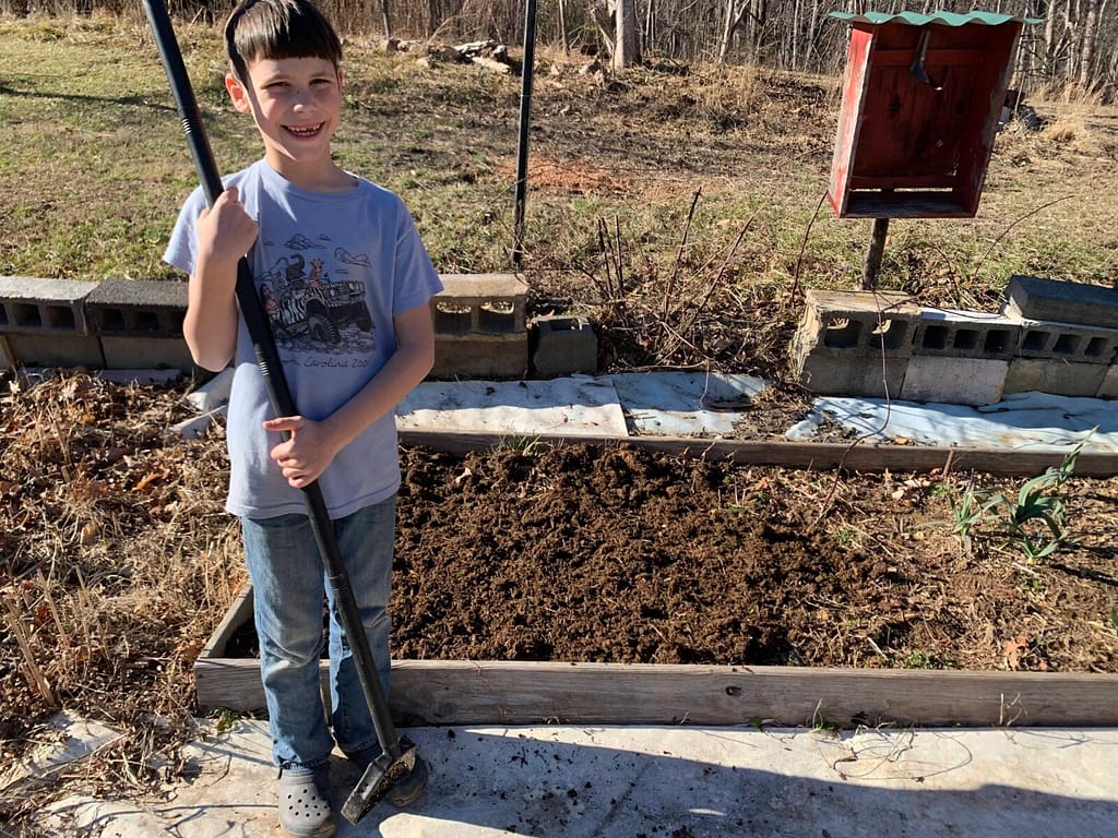 8 year old boy spreading manure in the garden