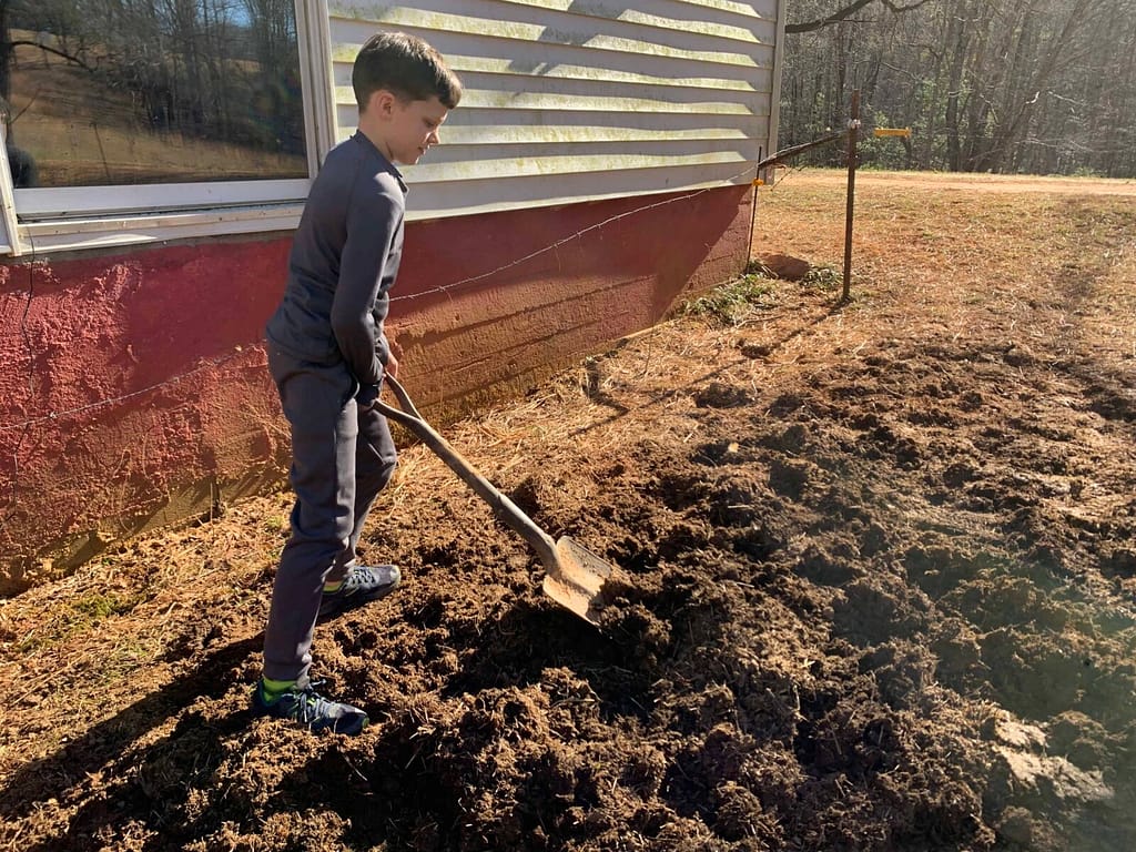 10 year old shoveling manure