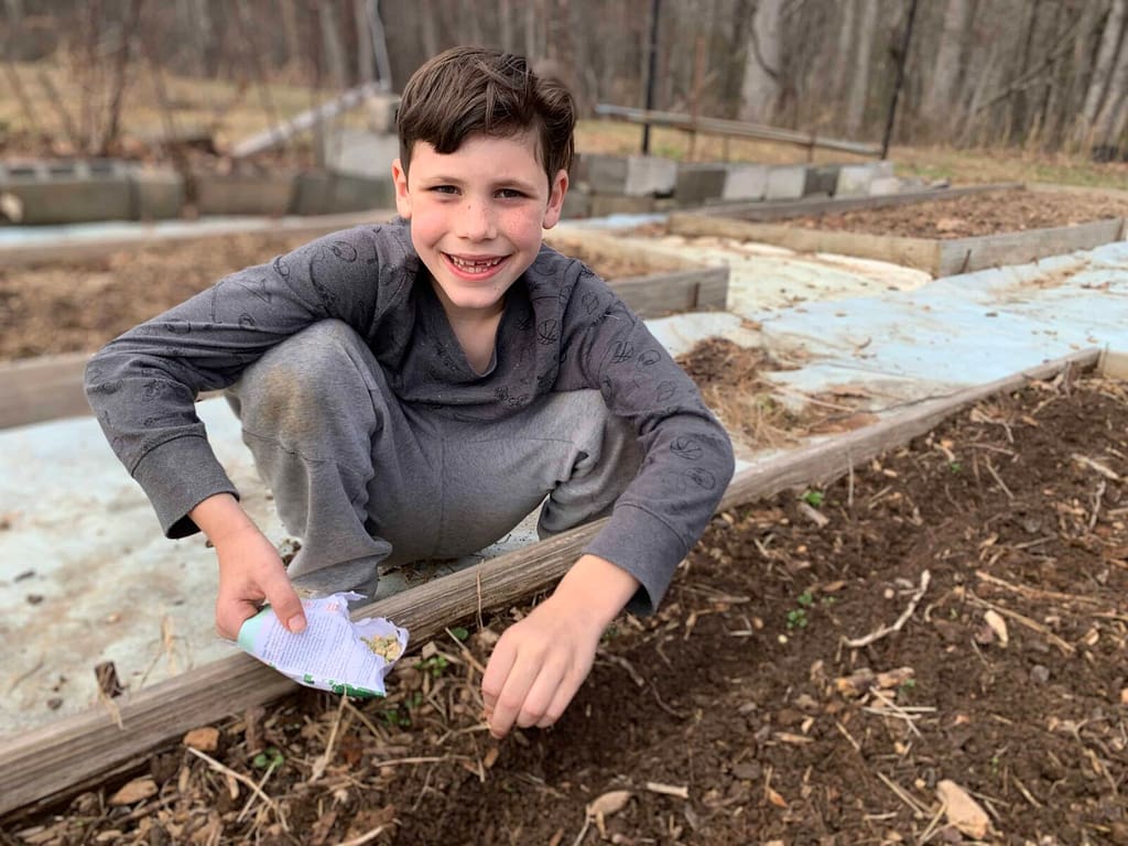 8 year old boy planting peas