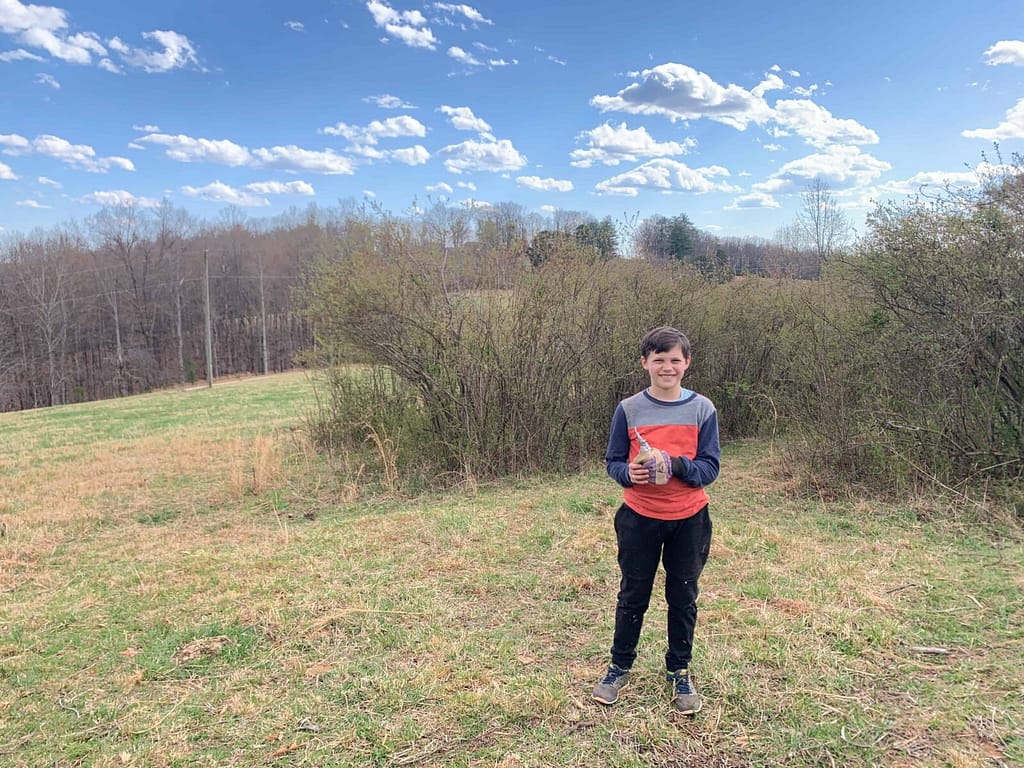 boy in front of blueberry patch in early spring