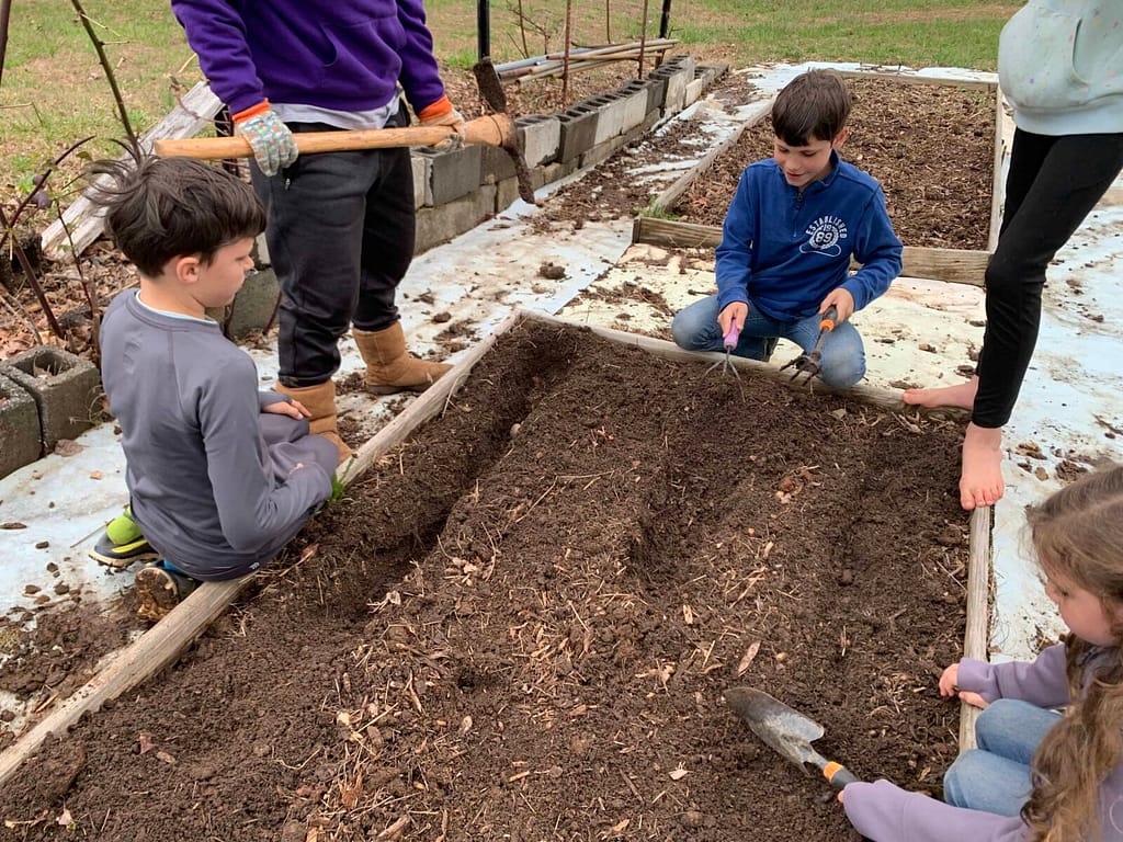 children planting potatoes