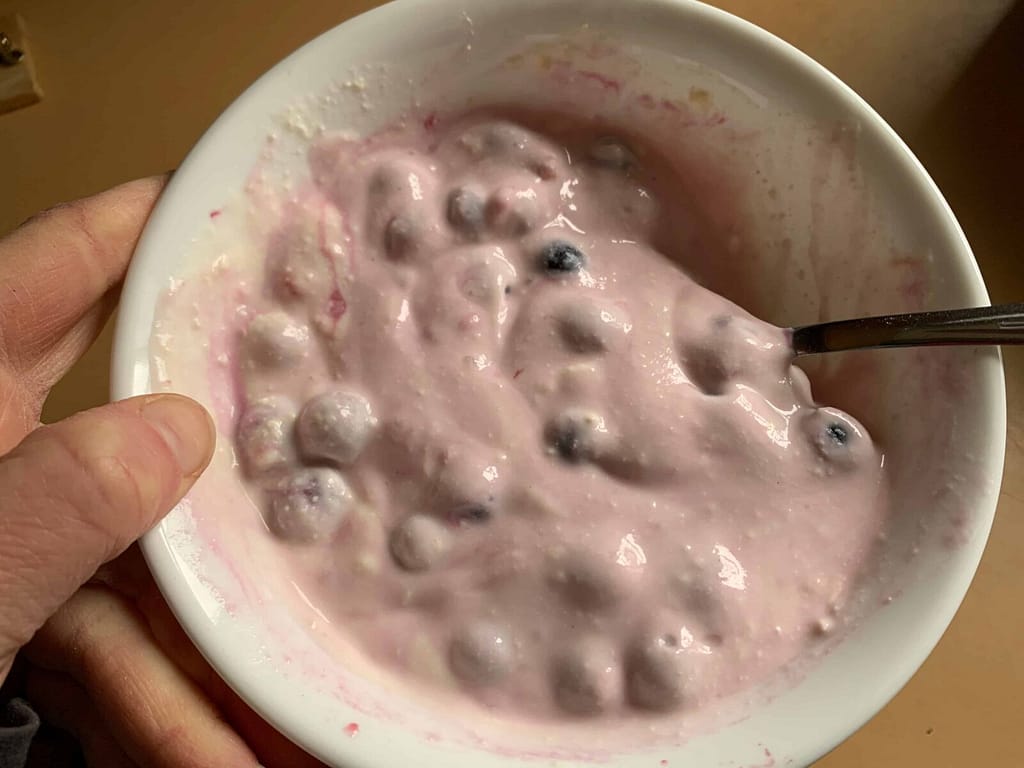 homemade yogurt stirred in a bowl with blueberries
