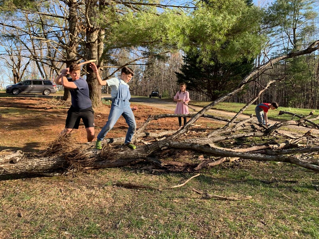 kids cutting up a fallen tree