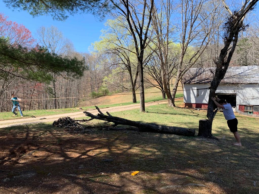 boy pulling and another boy pushing to fall a big dead tree
