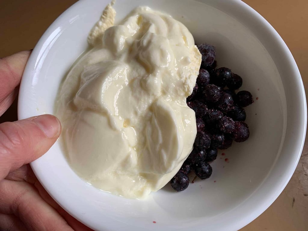 homemade yogurt in a bowl with blueberries