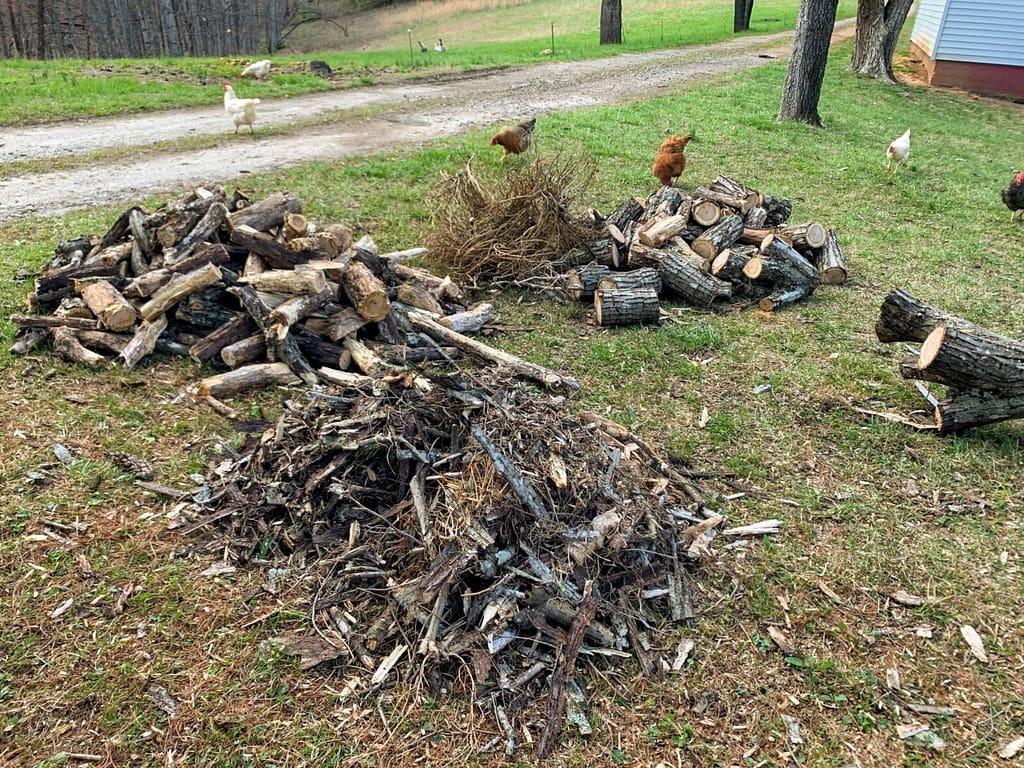 3 piles of logs and branches after a tree has been cut up