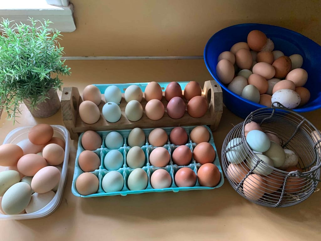 several dozen beautifully colored eggs