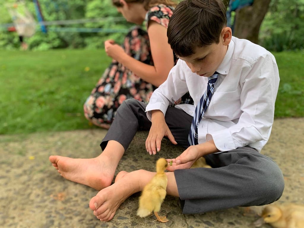 boy in suit playing with a duckling on the sidewalk