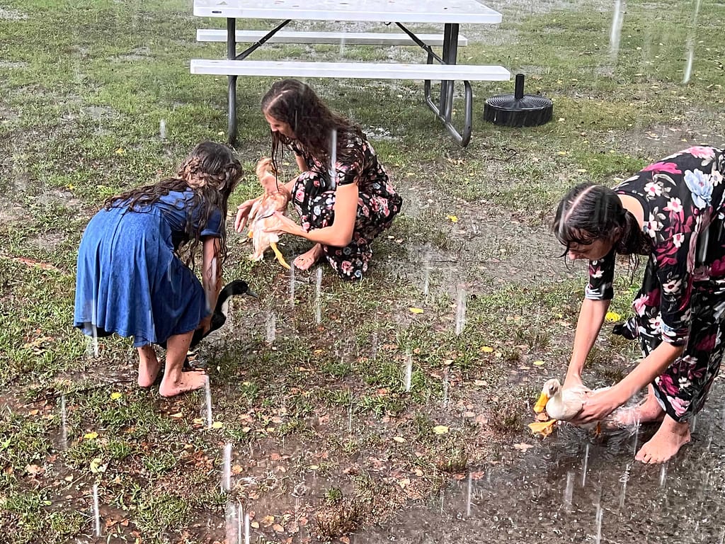3 girls playing with ducks in the rain