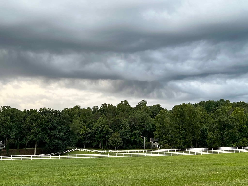 storm clouds over green trees in NC