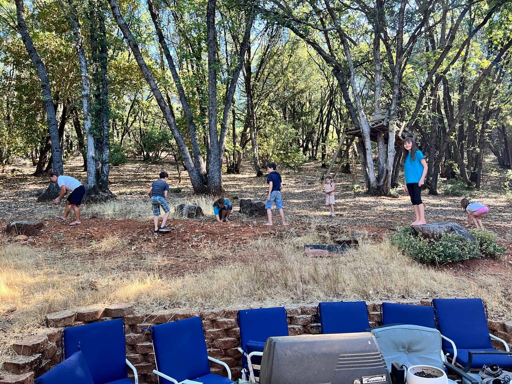 kids picking up sticks