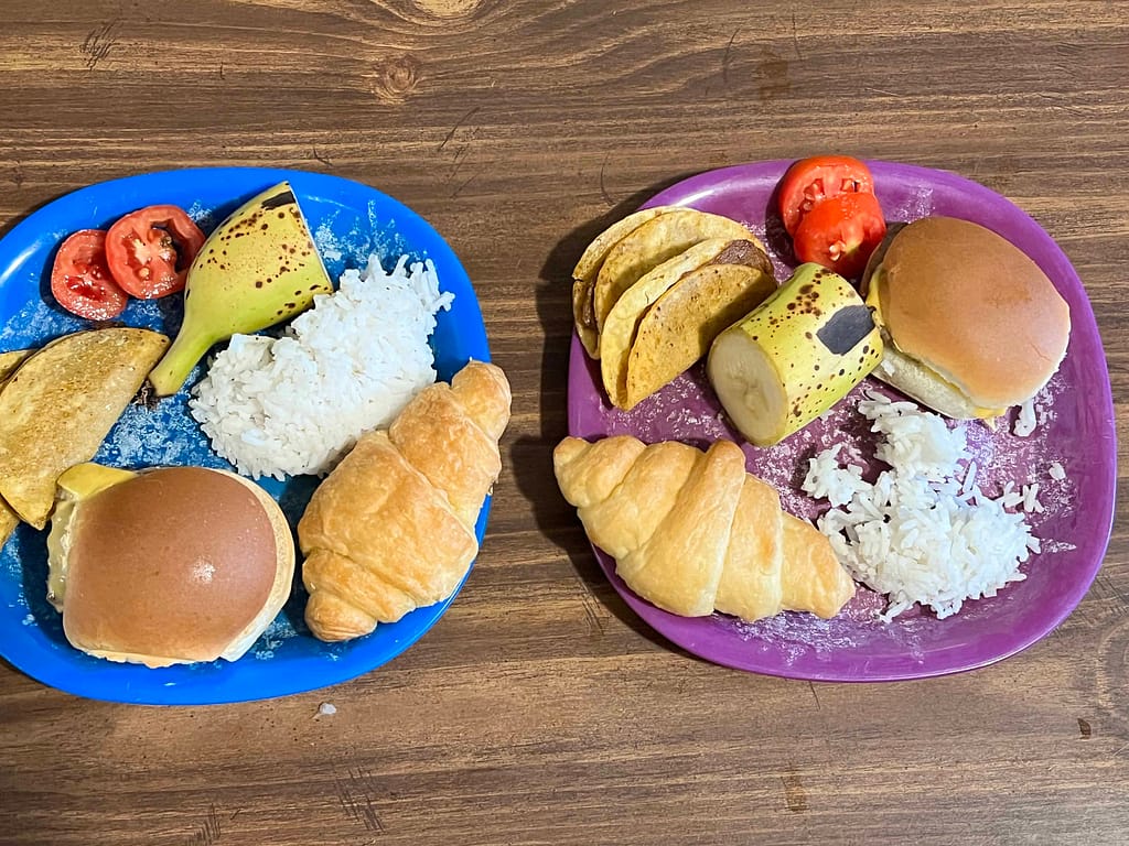 plate of popular food across the world including hamburger, rice, etc