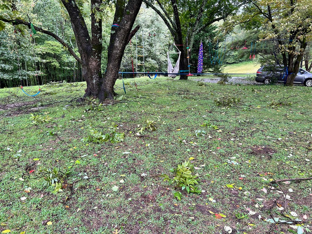 branches around the yard after a hurricane