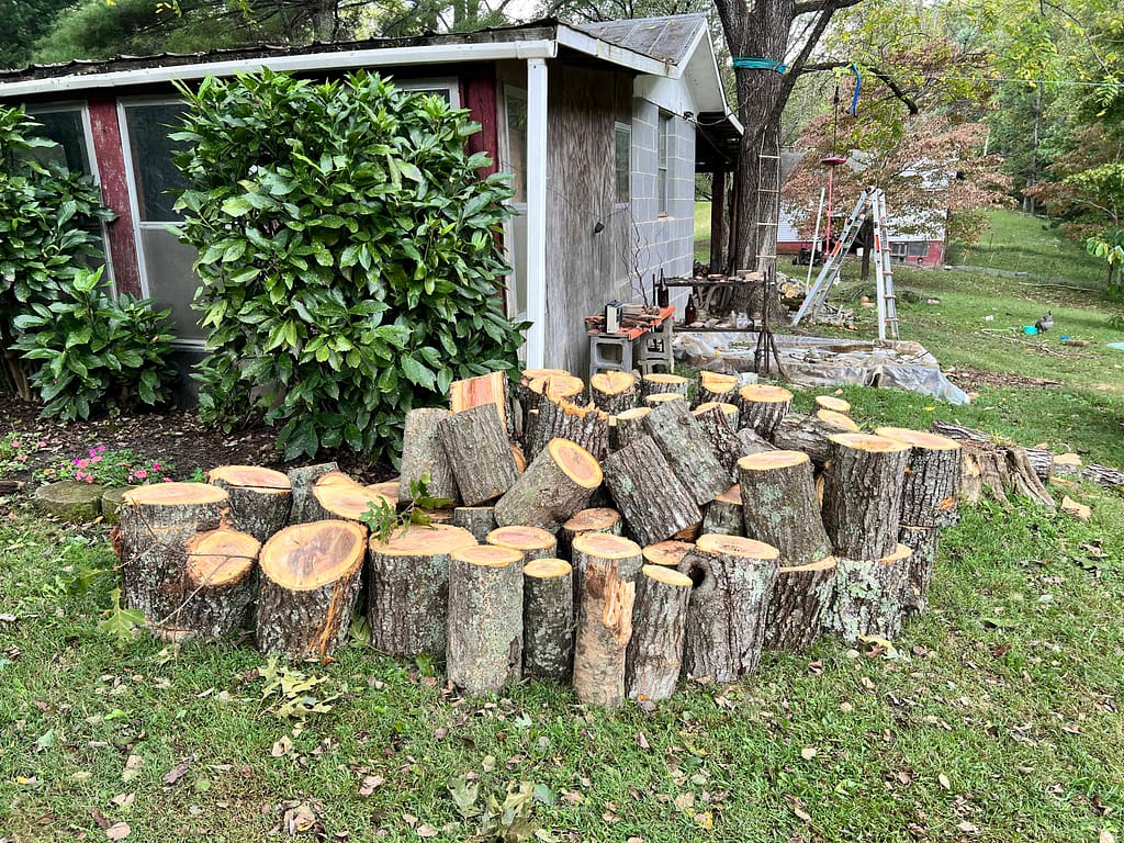 stacks of wood that need to be split
