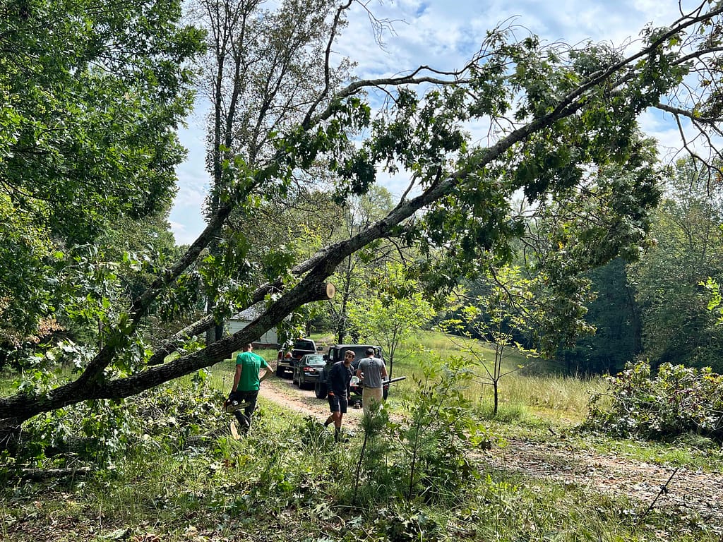guys cutting up a fallen tree from Hurricane Helene