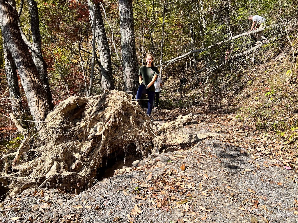 big root ball in the middle of a gravel road